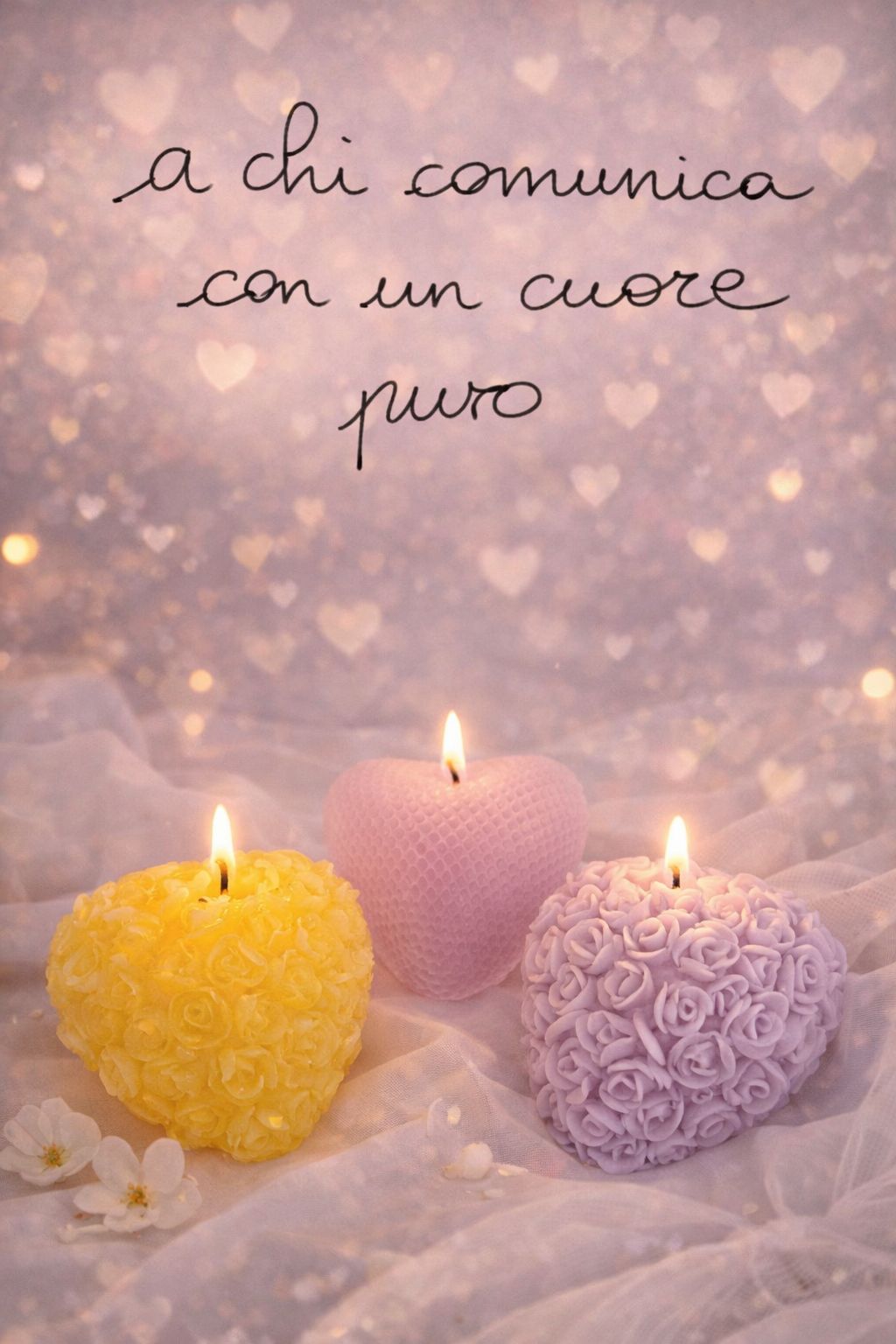 Le mie candele in paraffina di alta qualità